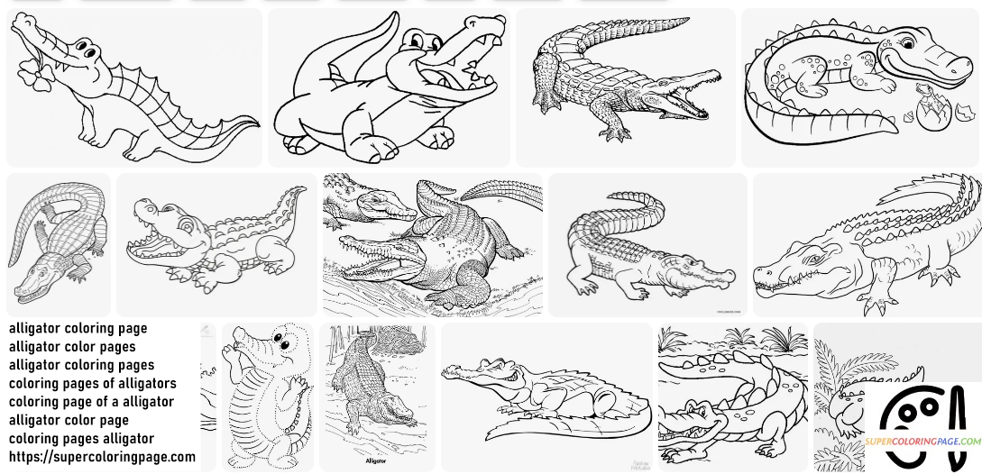 Alligator coloring pages 1