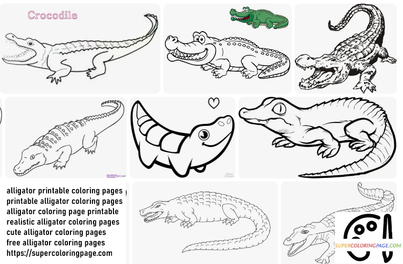 Alligator coloring pages 2