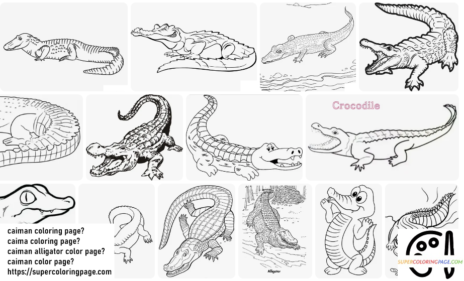 Caiman Coloring Pages 2