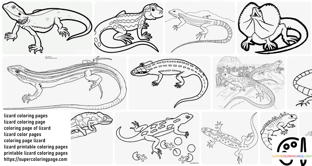 Lizard Coloring Pages 1