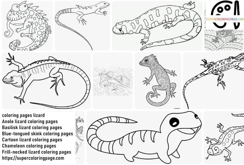 Lizard Coloring Pages 3