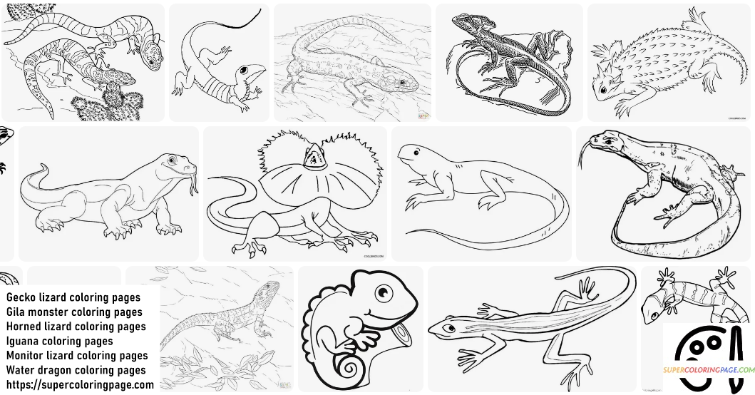 Lizard Coloring Pages 4