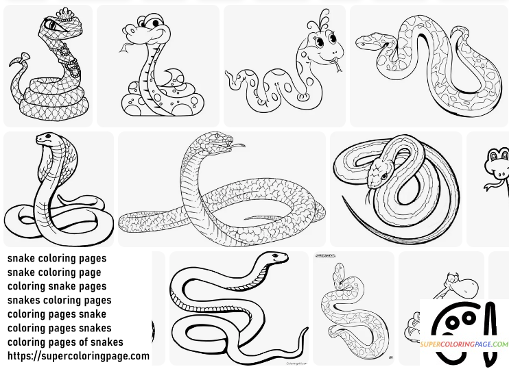 Snake coloring pages 1