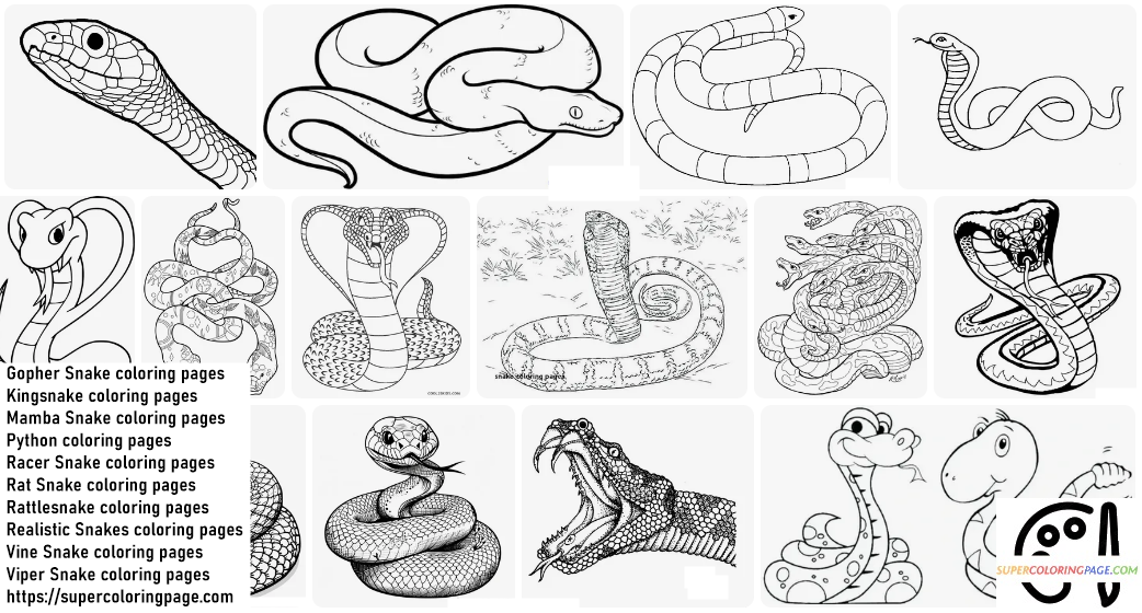 Snake coloring pages 4
